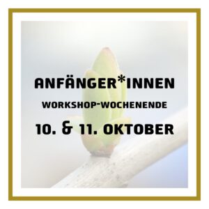 Anfänger*innen Workshop-Wochenende