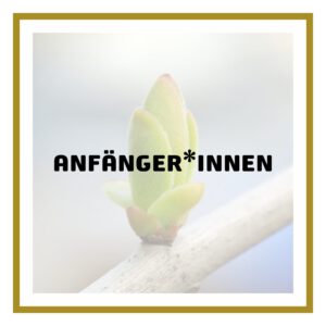 Anfänger*innen