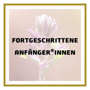 Fortgeschrittene Anfänger*innen