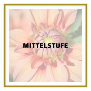 Mittelstufe