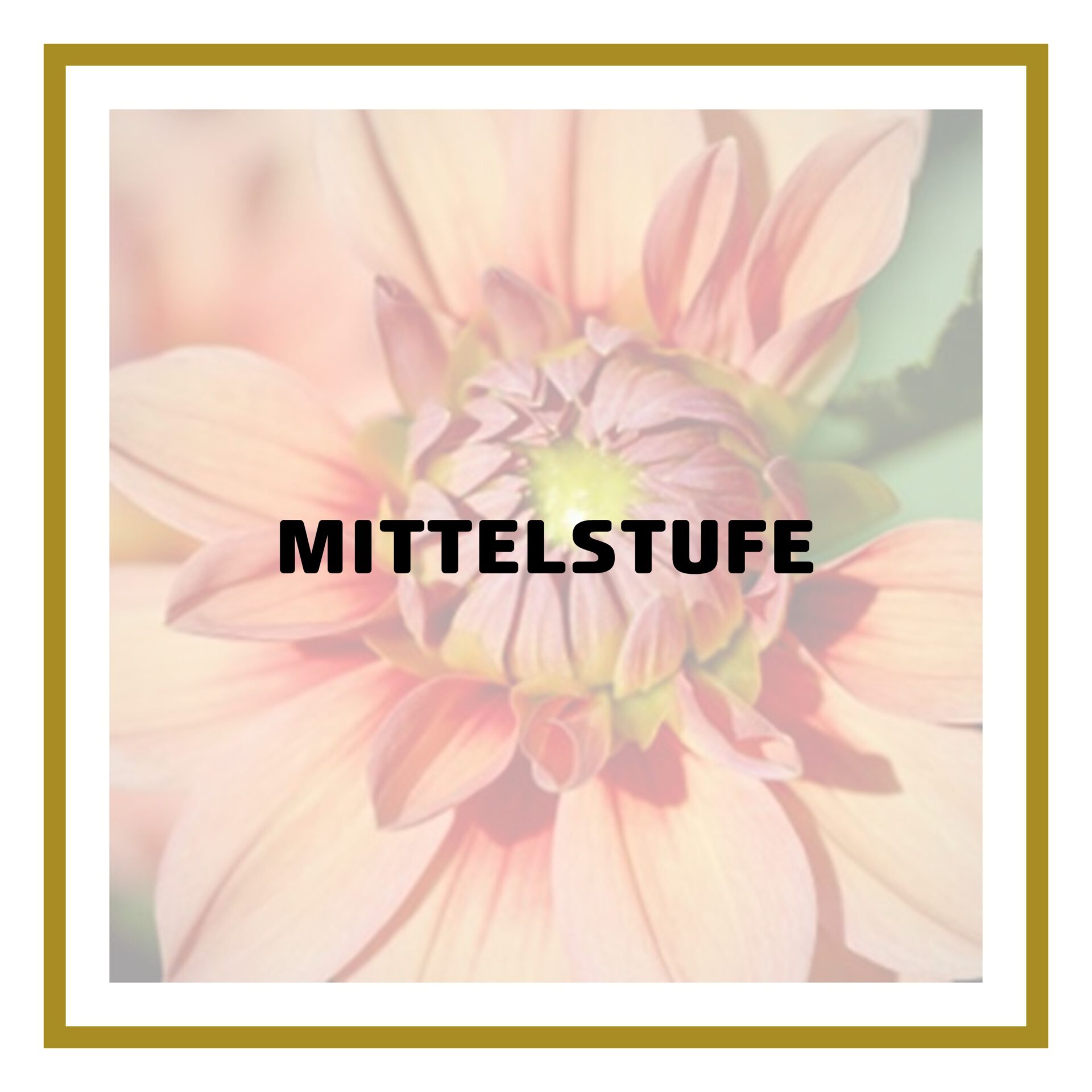 Mittelstufe